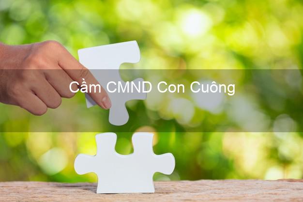 Dịch vụ Cầm CMND Con Cuông Nghệ An tốt nhất Dịch vụ Cầm CMND Con Cuông Nghệ An tốt nhất